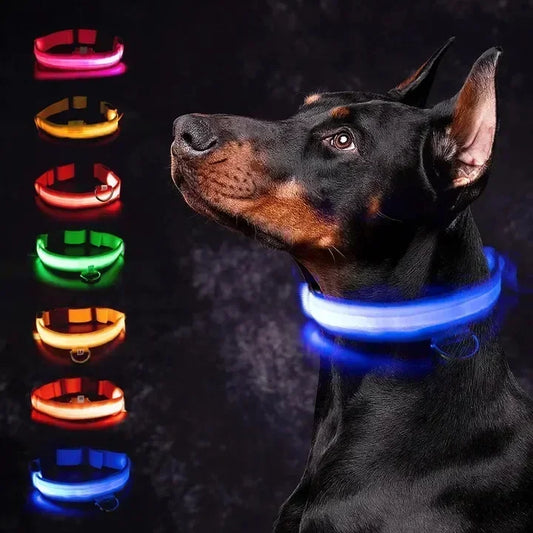 LED Glowing Dog Collar Adjustable Flashing Rechargea Luminous Collar Night Anti-Lost Dog Light